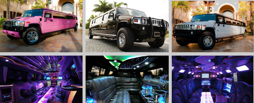 limousine services