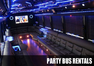 Bachelor party bus