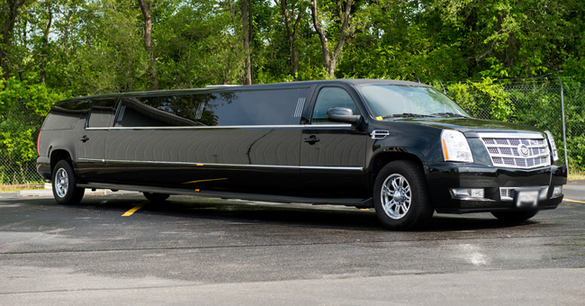 Louisville 20 Passenger Limo